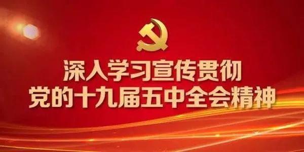 婺源县民政局最新招聘启事概览