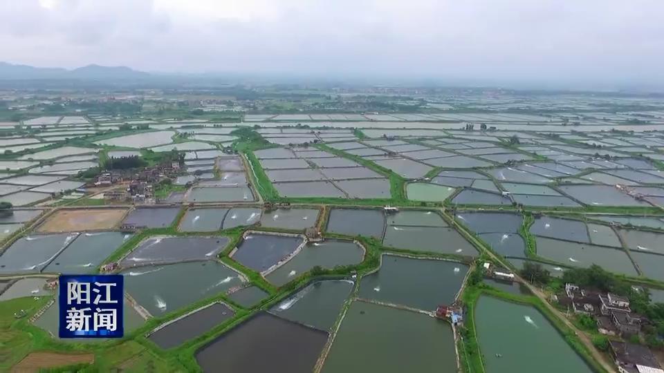 阳东县科技局最新招聘详解